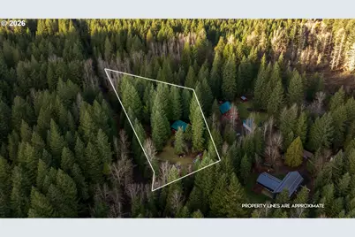 62 Sadie Rd, Carson, WA 98610 - Photo 2