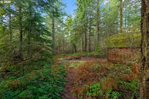 62 Sadie Road, Carson, WA 98610 - Photo 26