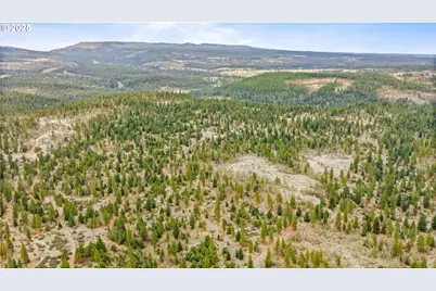 01 Jenkins Cr Hwy 97, Goldendale, WA 98620 - Photo 10