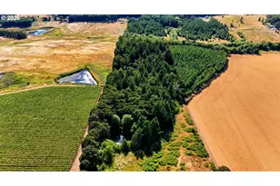 17220 Pleasant Hill Rd, Sheridan, OR 97378 - Photo 44