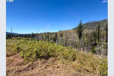 51789 Gates E, Gates, OR 97346 - Photo 2