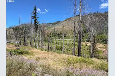 51789 Gates E, Gates, OR 97346 - Photo 12