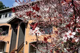 13150 D St, Nehalem, OR 97131 - Photo 6