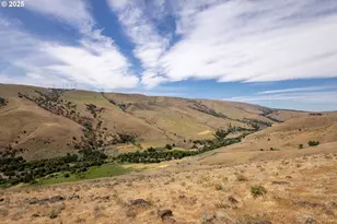 1056 Rock Creek Rd, Goldendale, WA 98620 - Photo 8