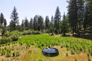 1056 Rock Creek Rd, Goldendale, WA 98620 - Photo 20