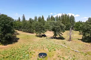 1056 Rock Creek Rd, Goldendale, WA 98620 - Photo 18