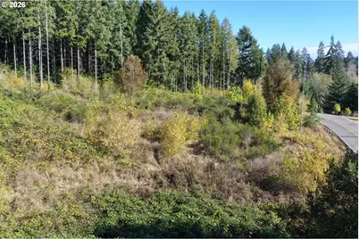 0 NE Jenny Creek Rd, La Center, WA 98629 - Photo 10