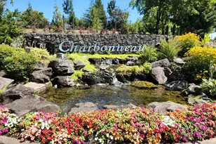 7242 SW Lake Bluff Ct, Wilsonville, OR 97070 - Photo 42