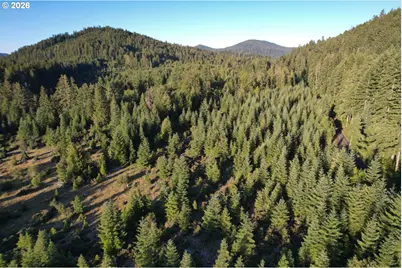 0 Eden Valley Rd, Powers, OR 97466 - Photo 8