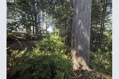 1484 Seacrest Ln, Brookings, OR 97415 - Photo 34