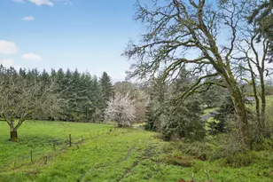 32895 NE Old Parrett Mountain Rd, Newberg, OR 97132 - Photo 40