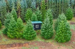 43815 SE Herrick Rd, Sandy, OR 97055 - Photo 32