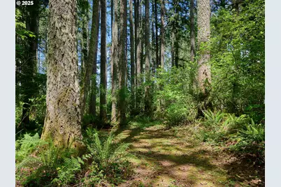 23456 S Schieffer Rd, Colton, OR 97017 - Photo 12