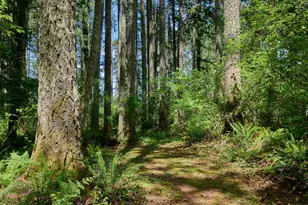 23456 S Schieffer Rd, Colton, OR 97017 - Photo 12