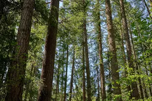 23456 S Schieffer Rd, Colton, OR 97017 - Photo 12