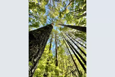 28593 Lower Smith River Rd, Reedsport, OR 97467 - Photo 44