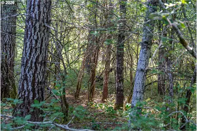 Hawk Meadows Rd #4, Carson, WA 98610 - Photo 18