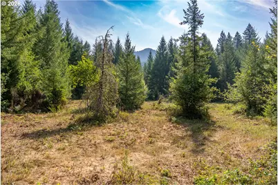 Hawk Meadows Rd #4, Carson, WA 98610 - Photo 4