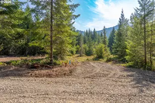 Hawk Meadows Rd, Carson, WA 98610 - Photo 1