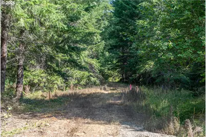 Hawk Meadows Rd #4, Carson, WA 98610 - Photo 38