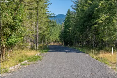 Hawk Meadows Rd #4, Carson, WA 98610 - Photo 30