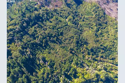 0 Tin Shack Rd, Nehalem, OR 97131 - Photo 6