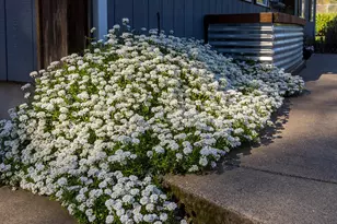 111 Laurel Ln, Washougal, WA 98671 - Photo 32