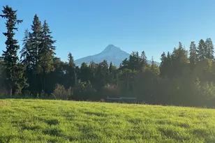 4425 Woodworth Dr., Mount Hood Prkdl, OR 97041 - Photo 2