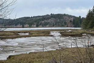 0 South Bay Rd, Toledo, OR 97391 - Photo 1