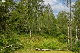 237 Piedmont Pl, Kelso, WA 98626 - Photo 30