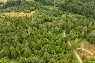 237 Piedmont Pl, Kelso, WA 98626 - Photo 32