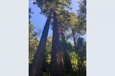 North Bank Rd #201, Gold Beach, OR 97444 - Photo 22