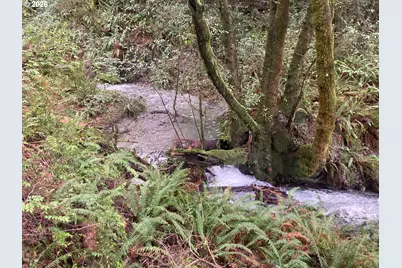 North Bank Rd #201, Gold Beach, OR 97444 - Photo 18