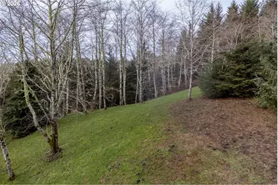 Aleolian Way, Neskowin, OR 97149 - Photo 4