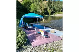 44688 Hwy 242, Myrtle Point, OR 97458 - Photo 42