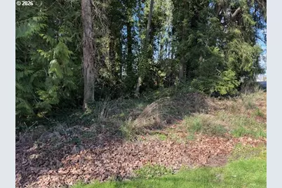 E 2nd To W 1st St, Rainier, OR 97048 - Photo 1