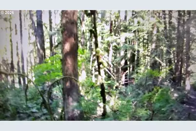 E John Lake Rd, Rhododendron, OR 97049 - Photo 6