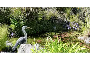 865 Jodee Ln, Brookings, OR 97415 - Photo 44