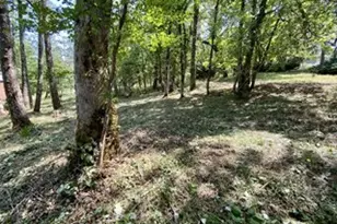 W 40th Ave, Eugene, OR 97405 - Photo 12