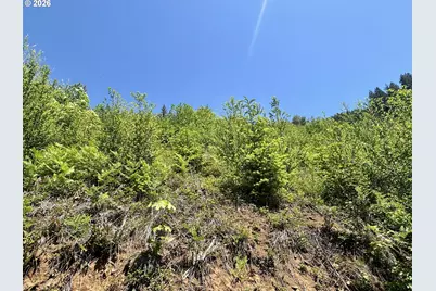 Crooked Finger Rd., Scotts Mills, OR 97375 - Photo 14