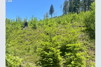 Crooked Finger Rd., Scotts Mills, OR 97375 - Photo 16