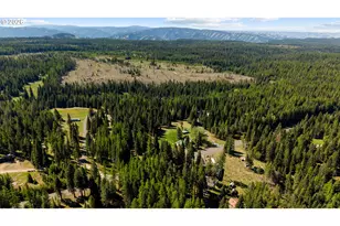 58830 Hwy 204, Weston, OR 97886 - Photo 8