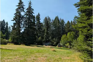 49241 Mountain View Rd, Oakridge, OR 97463 - Photo 10