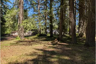 49241 Mountain View Rd, Oakridge, OR 97463 - Photo 14