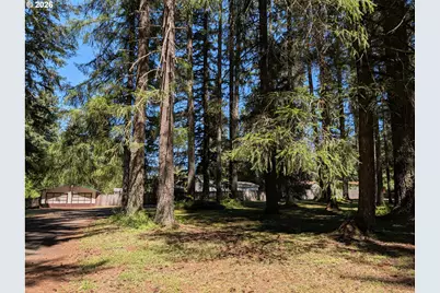 49241 Mountain View Rd, Oakridge, OR 97463 - Photo 4