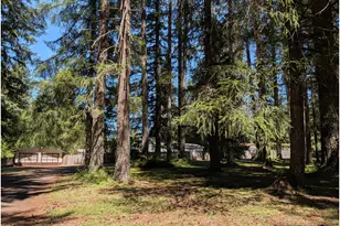 49241 Mountain View Rd, Oakridge, OR 97463 - Photo 4