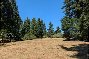 49241 Mountain View Rd, Oakridge, OR 97463 - Photo 12