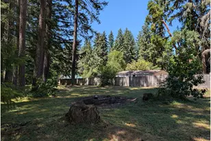 49241 Mountain View Rd, Oakridge, OR 97463 - Photo 6