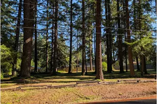 49241 Mountain View Rd, Oakridge, OR 97463 - Photo 8