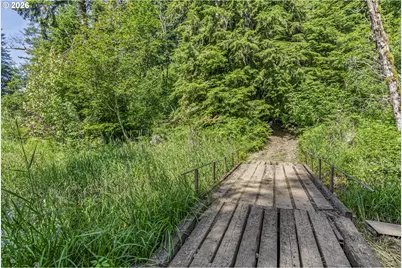 136 Longhorn Rd, Amboy, WA 98601 - Photo 30